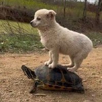 浪人